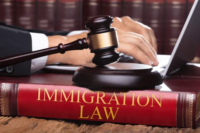 Legal Opinions on Immigration Law in Kenya